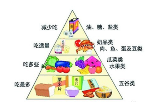 合理饮食