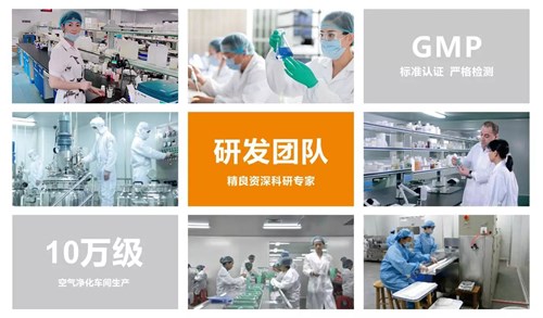团队
