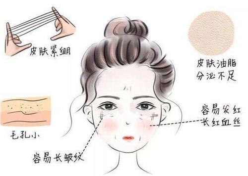 干皮特征
