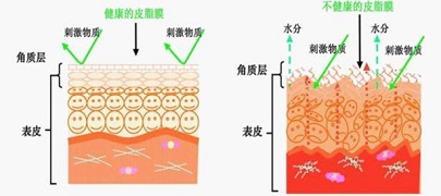 书颜世家