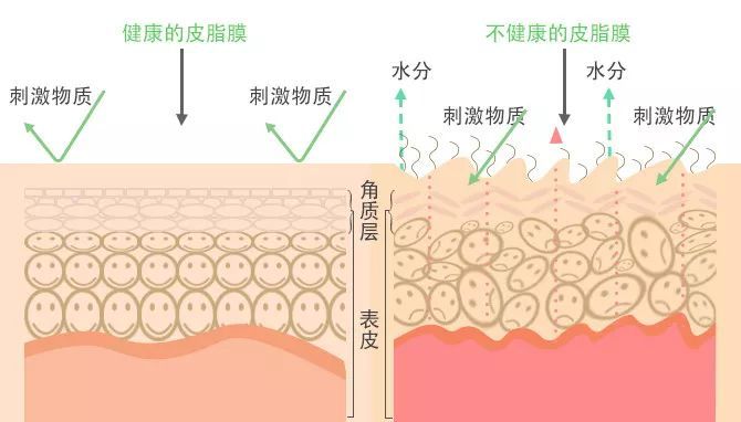 书颜世家官网