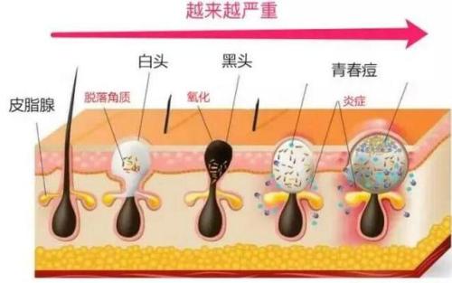 书颜世家