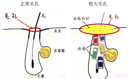 书颜世家官网
