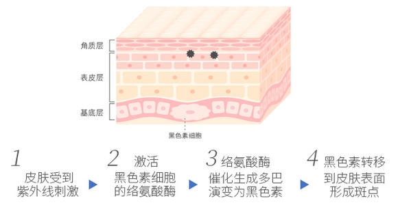 黑色素