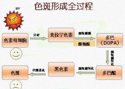 色斑形成