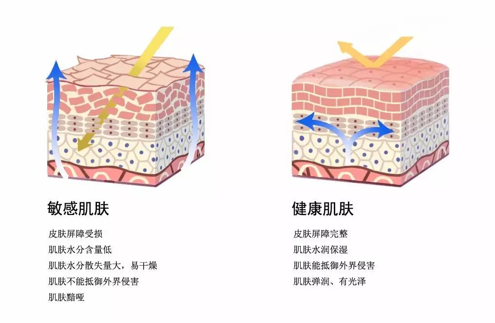 受损肌肤