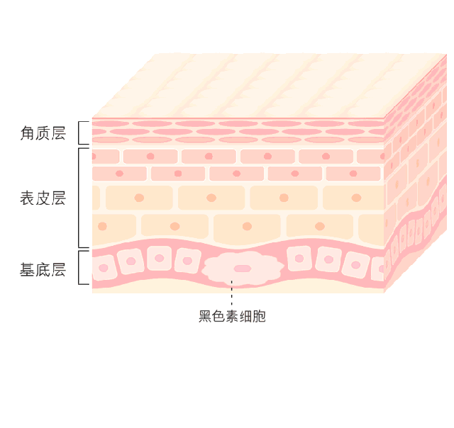 色素沉积