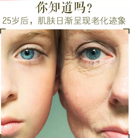 25岁后肌肤衰老