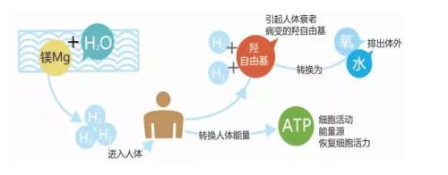 抗氧化