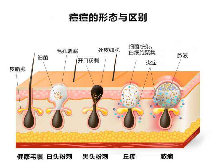 书颜世家皮肤管理